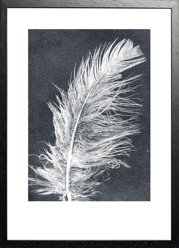 Pernille Folcarelli Feather White
