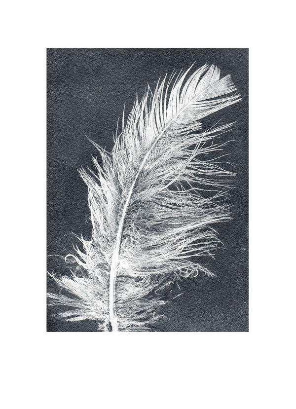 Pernille Folcarelli Feather White