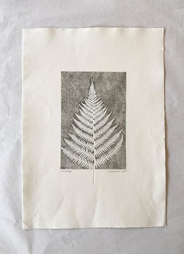 Pernille Folcarelli Fern 2 Original Art Print