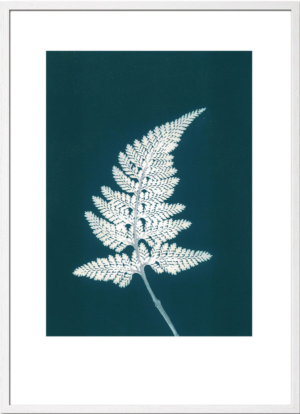 Pernille Folcarelli Fern Bluegreen
