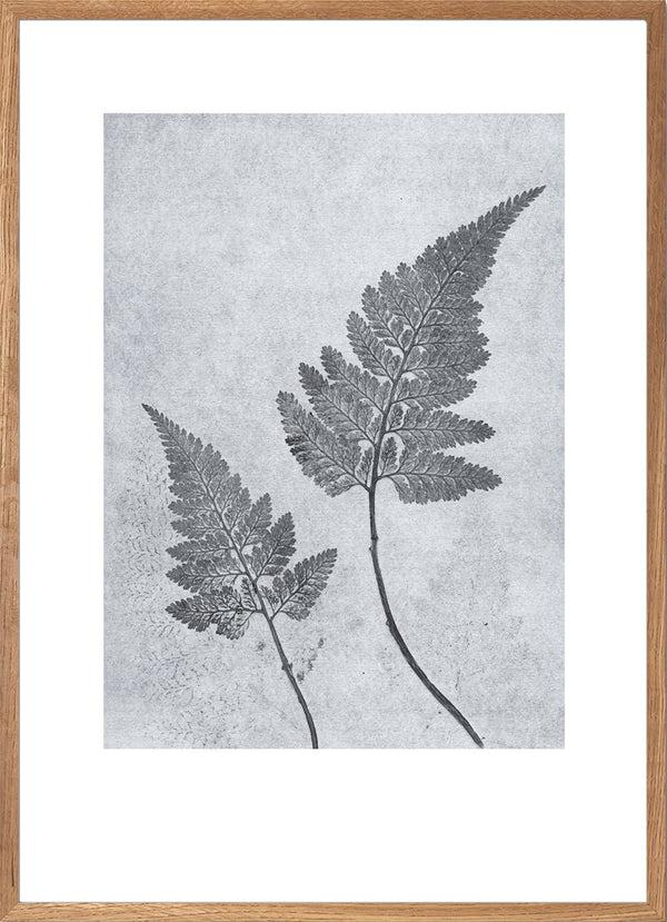 Pernille Folcarelli Fern Dusty Blue