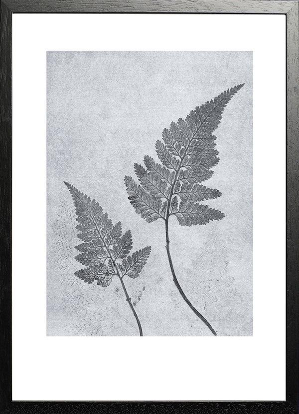 Pernille Folcarelli Fern Dusty Blue