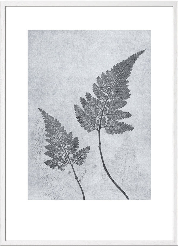 Pernille Folcarelli Fern Dusty Blue