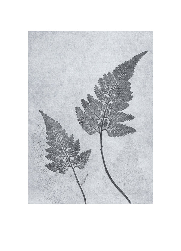 Pernille Folcarelli Fern Dusty Blue