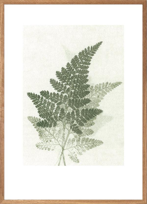 Pernille Folcarelli Fern Green