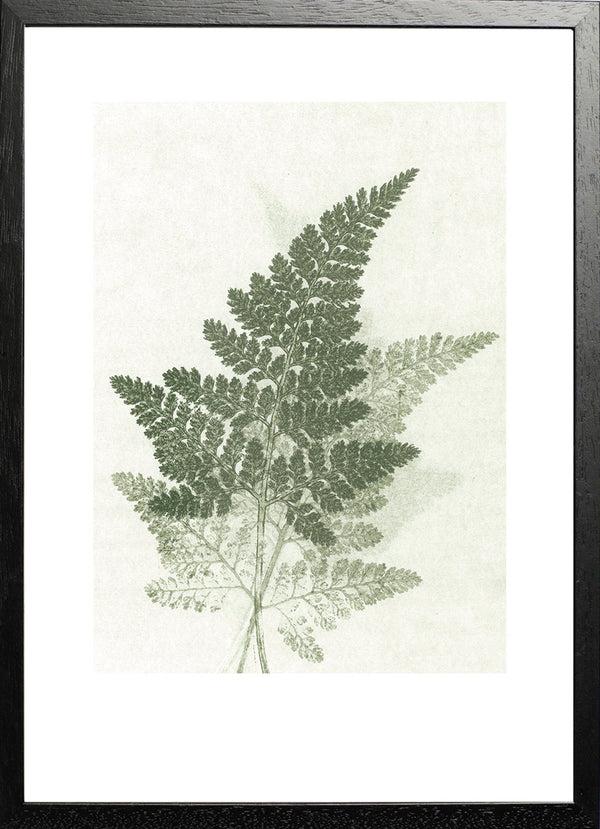 Pernille Folcarelli Fern Green