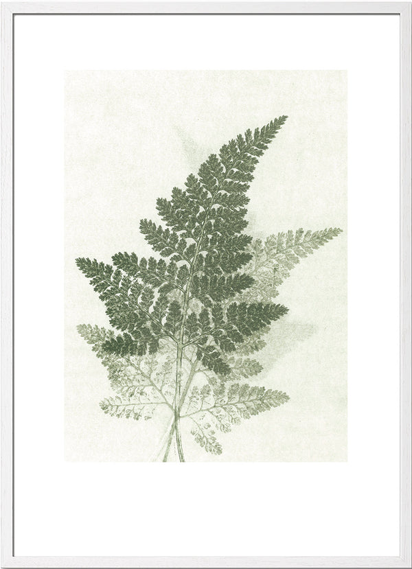 Pernille Folcarelli Fern Green