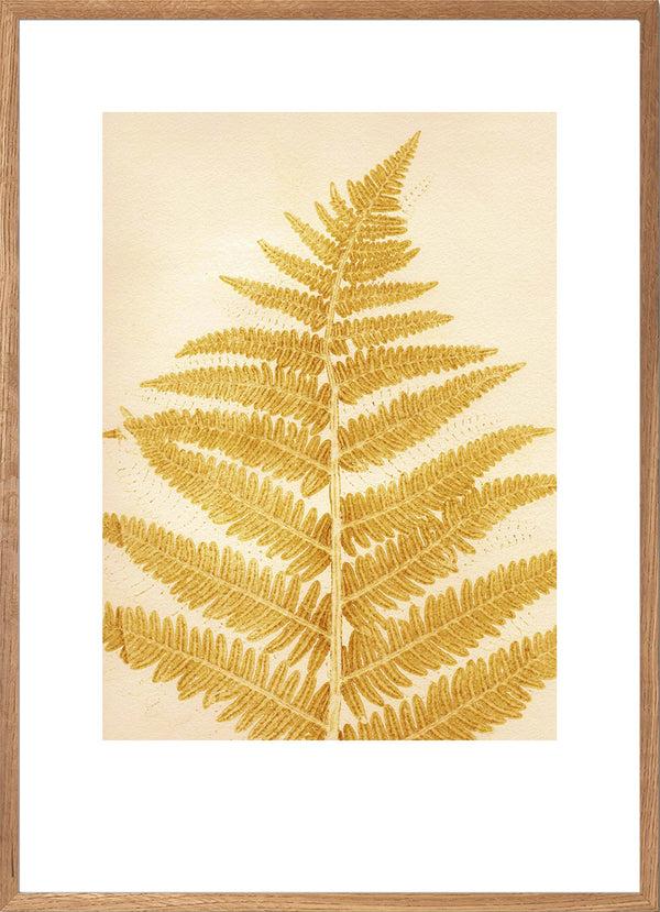 Pernille Folcarelli Fern Mustard