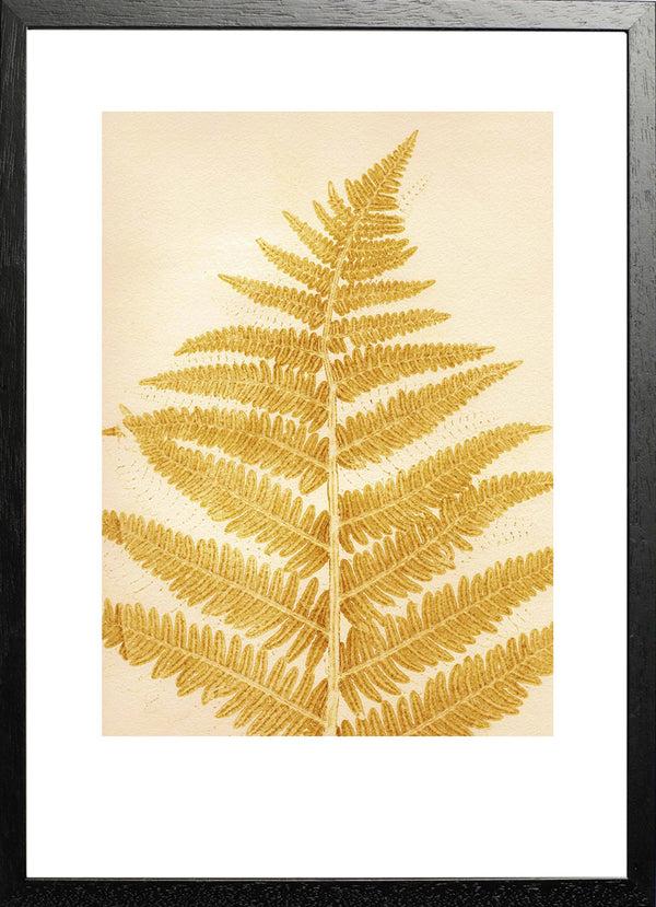 Pernille Folcarelli Fern Mustard