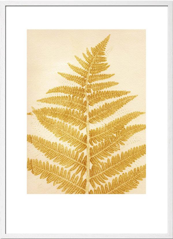 Pernille Folcarelli Fern Mustard