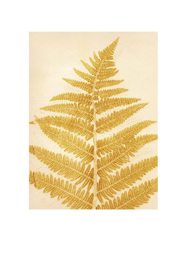Pernille Folcarelli Fern Mustard