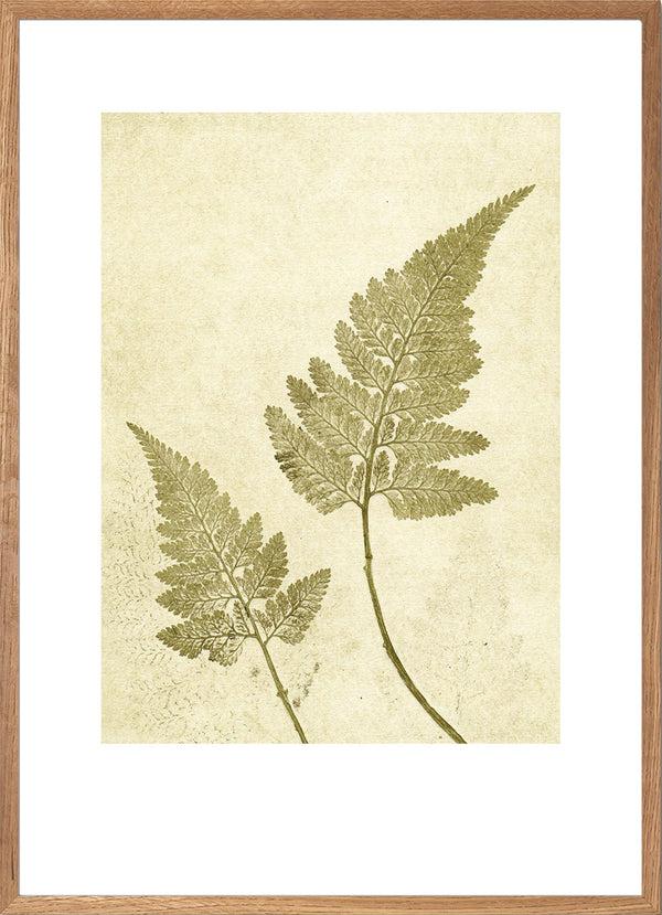 Pernille Folcarelli Fern Olive Green
