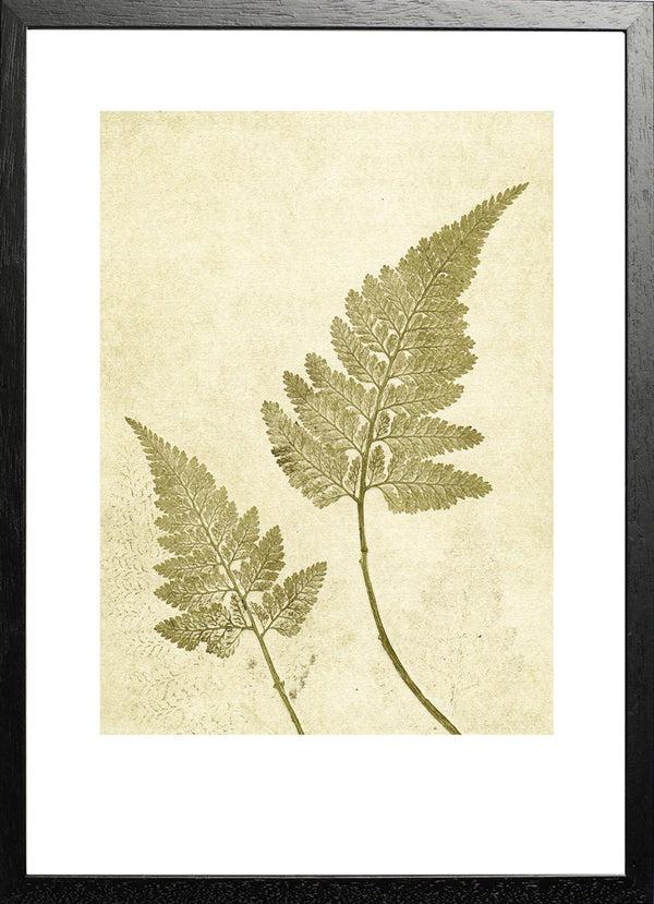 Pernille Folcarelli Fern Olive Green