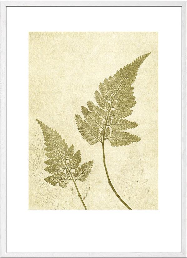 Pernille Folcarelli Fern Olive Green