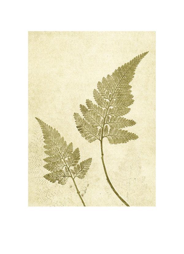 Pernille Folcarelli Fern Olive Green