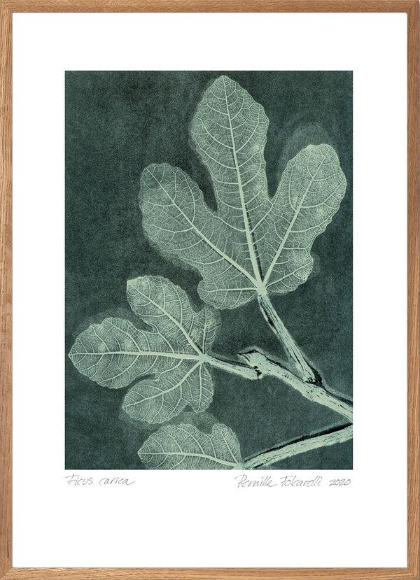 Pernille Folcarelli Fig 1 Dark Teal
