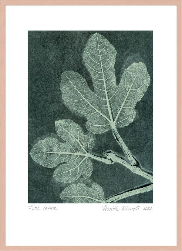 Pernille Folcarelli Fig 1 Dark Teal