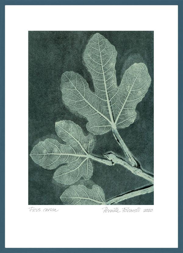Pernille Folcarelli Fig 1 Dark Teal