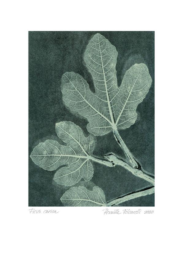 Pernille Folcarelli Fig 1 Dark Teal