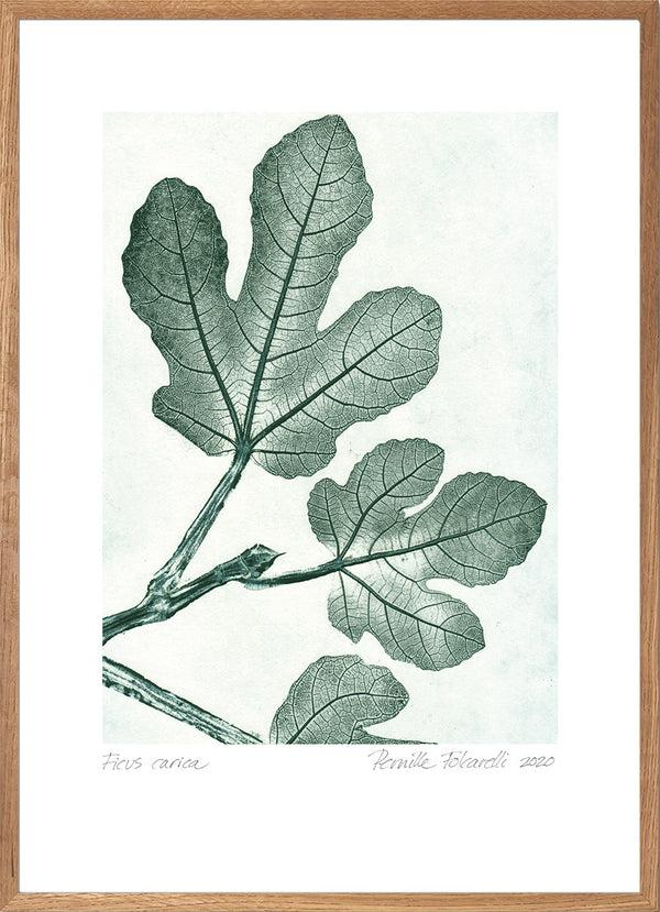 Pernille Folcarelli Fig 1 Green