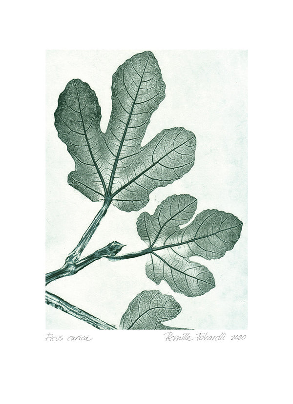 Pernille Folcarelli Fig 1 green