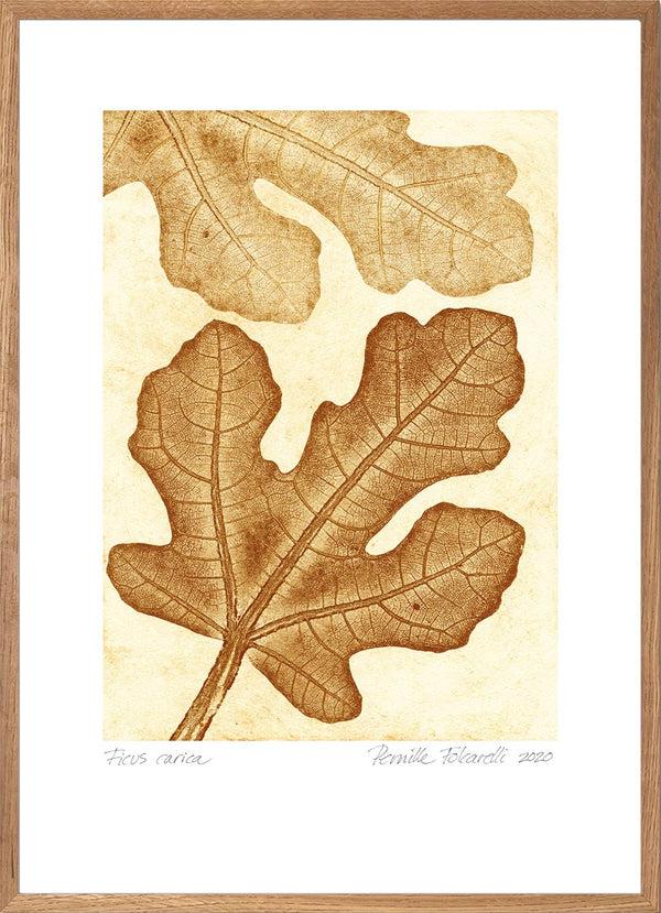Pernille Folcarelli Fig Ochre