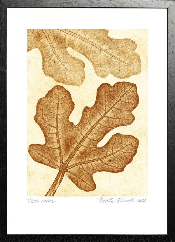 Pernille Folcarelli Fig Ochre