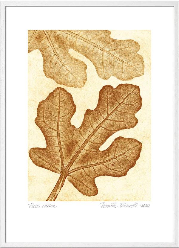 Pernille Folcarelli Fig Ochre