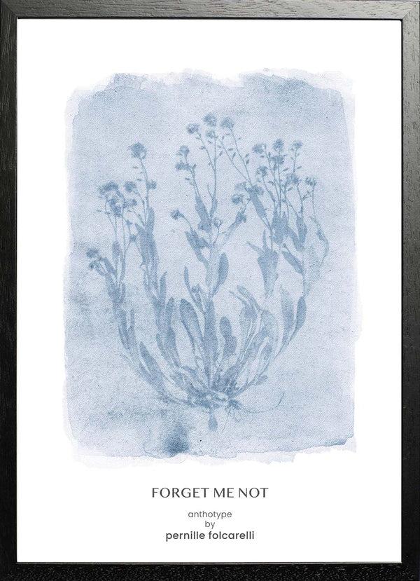 Pernille Folcarelli Forget-me-not Blue
