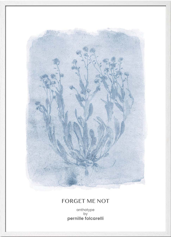 Pernille Folcarelli Forget-me-not Blue