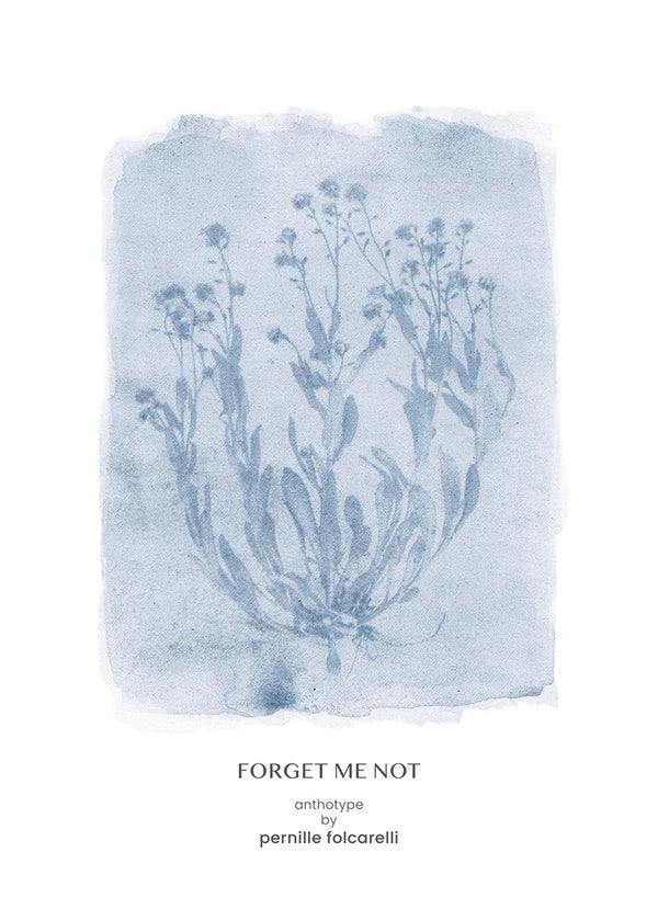 Pernille Folcarelli Forget-me-not Blue