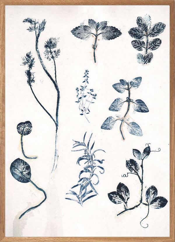 Pernille Folcarelli Garden Herbs Blue