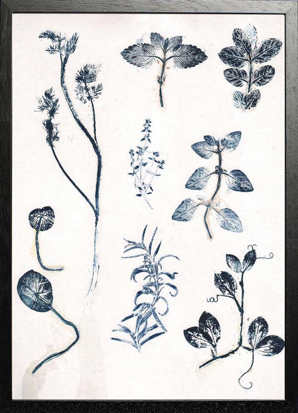 Pernille Folcarelli Garden Herbs Blue