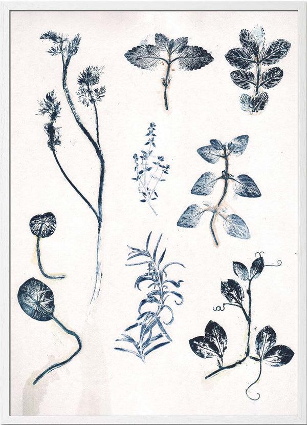 Pernille Folcarelli Garden Herbs Blue