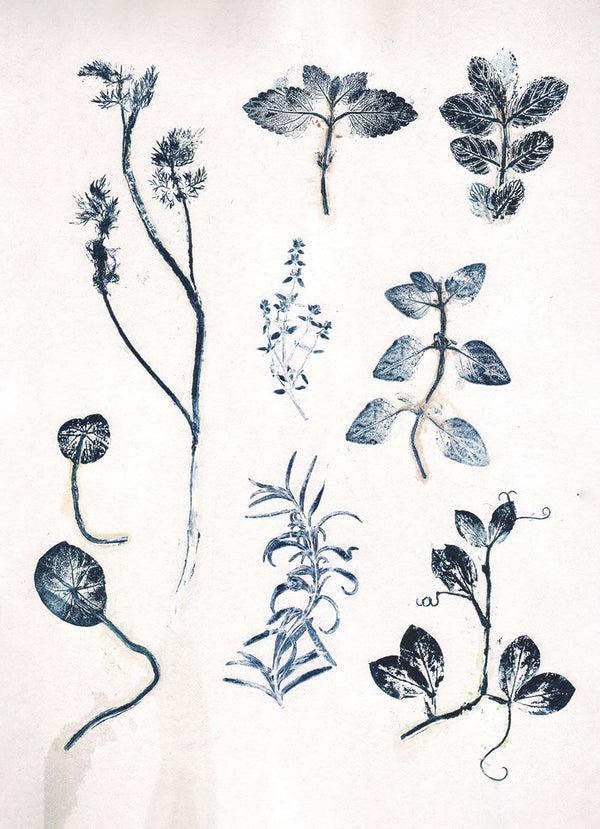 Pernille Folcarelli Garden Herbs Blue
