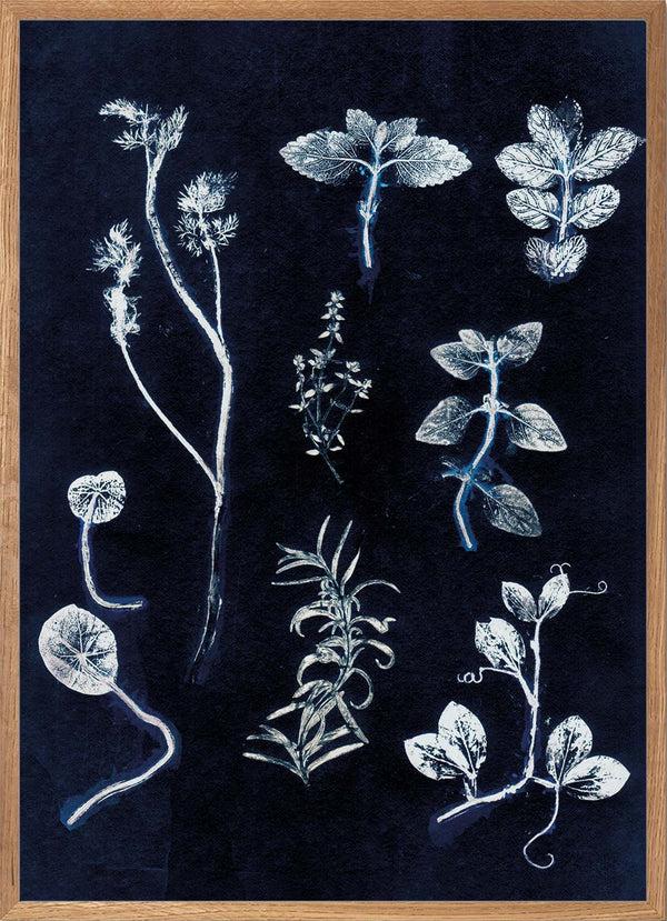 Pernille Folcarelli Garden Herbs Dark Blue