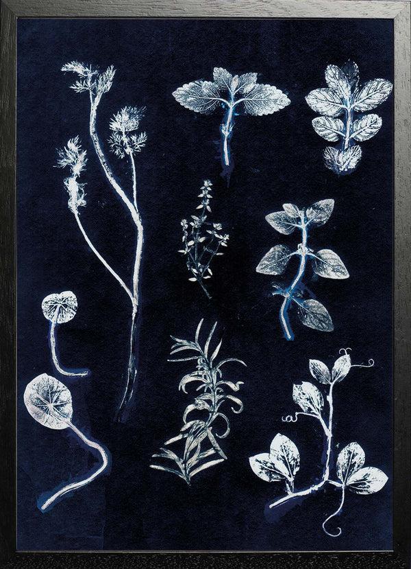 Pernille Folcarelli Garden Herbs Dark Blue