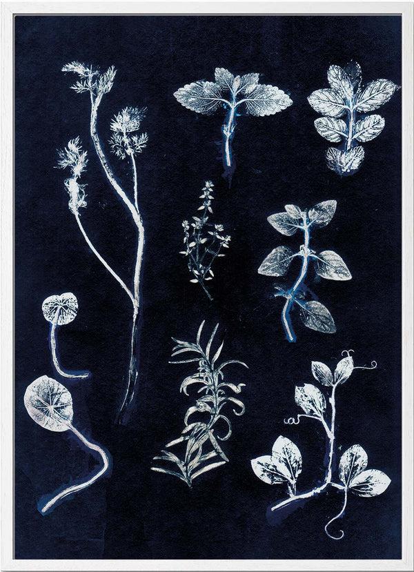 Pernille Folcarelli Garden Herbs Dark Blue