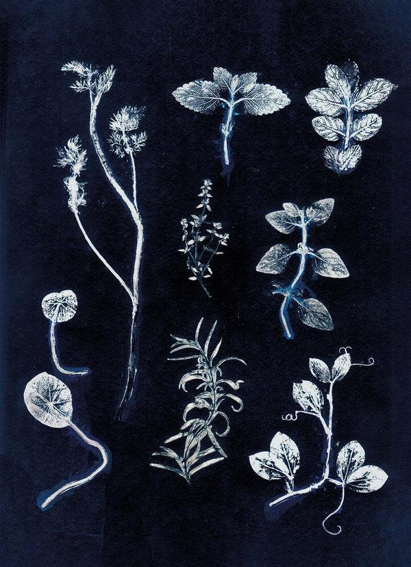 Pernille Folcarelli Garden Herbs Dark Blue