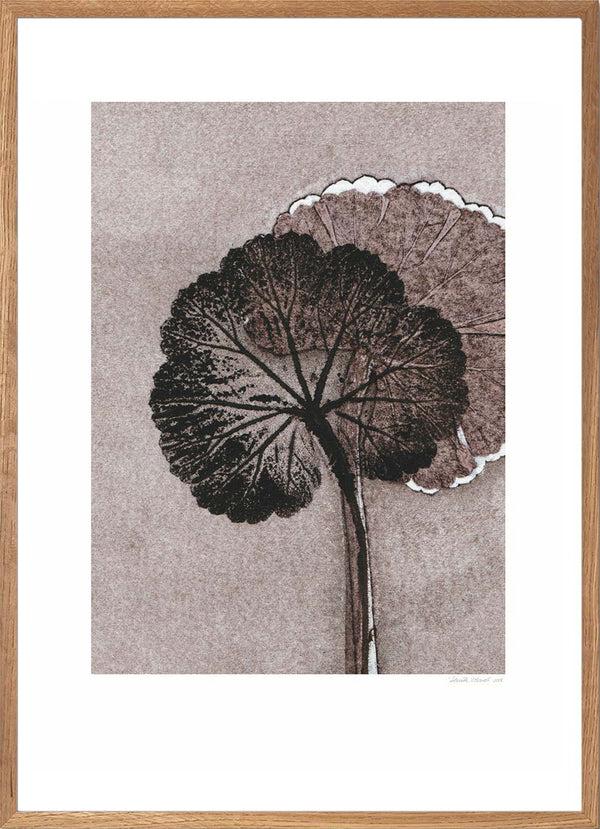 Pernille Folcarelli Geranium Mauve