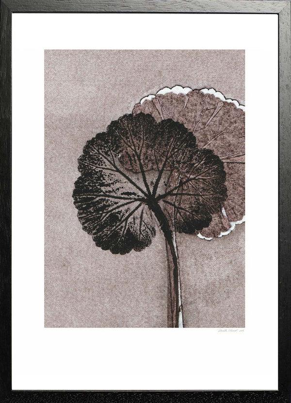 Pernille Folcarelli Geranium Mauve