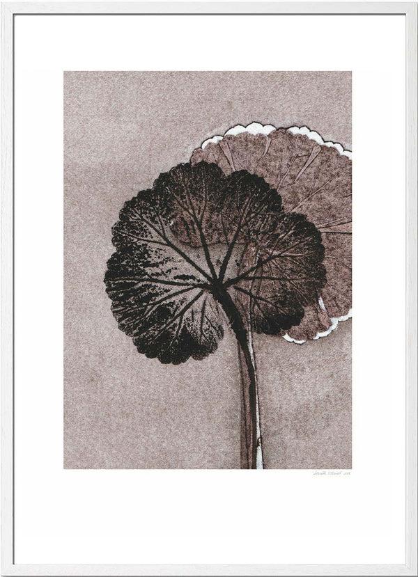 Pernille Folcarelli Geranium Mauve