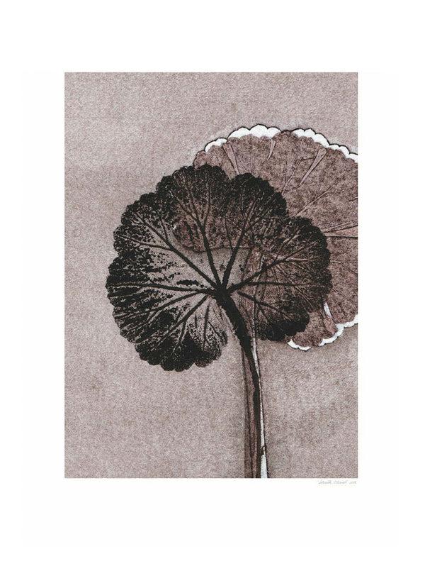 Pernille Folcarelli Geranium Mauve