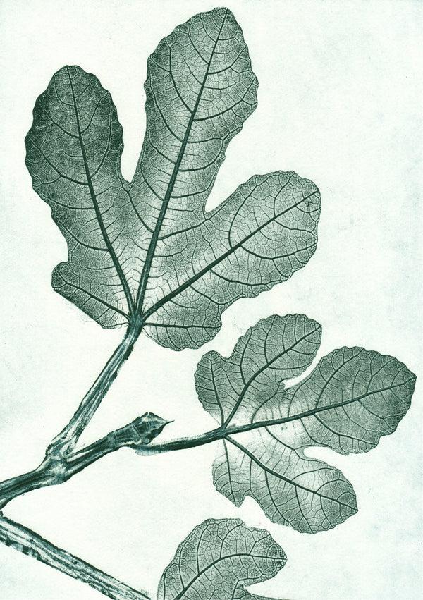 Pernille Folcarelli Gift Packet No.1 Green