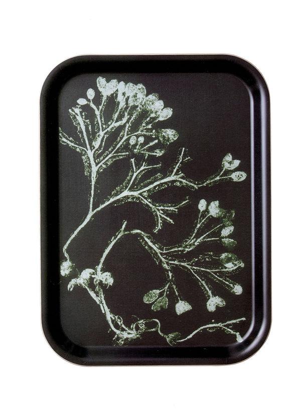 Pernille Folcarelli Gift Packet No.1 Green