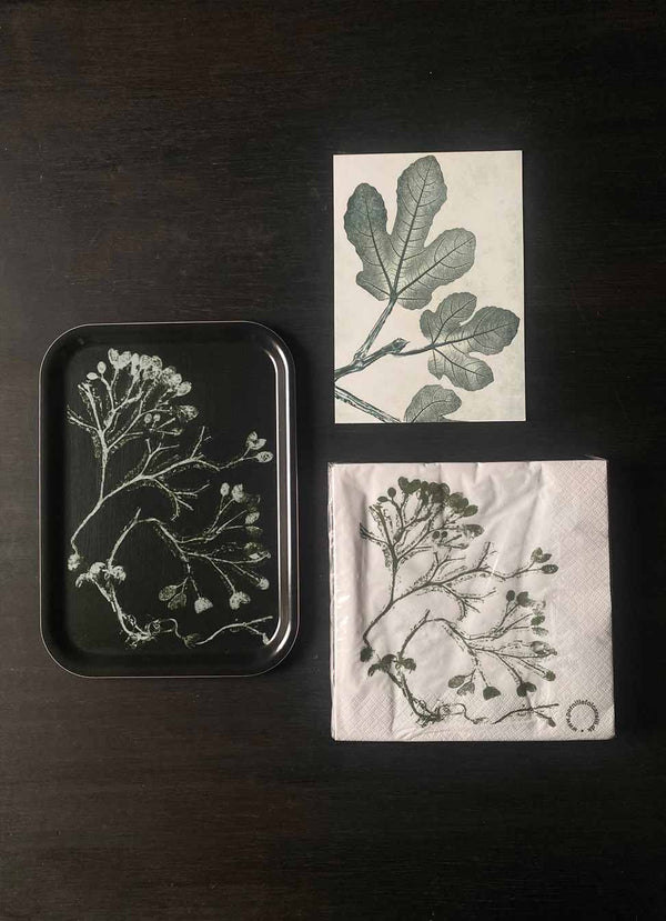 Pernille Folcarelli Gift packet no.1 green