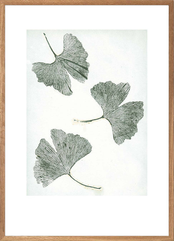 Pernille Folcarelli Gingko Green