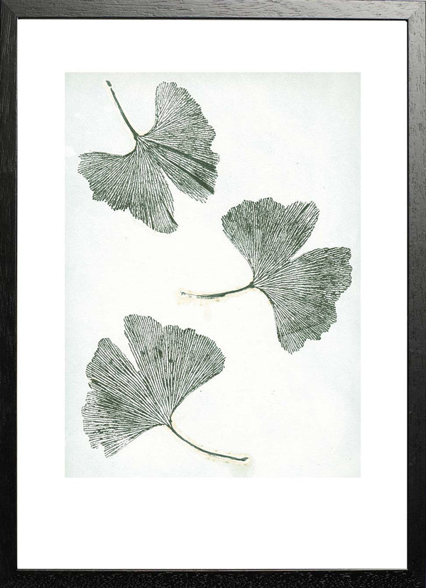 Pernille Folcarelli Gingko Green