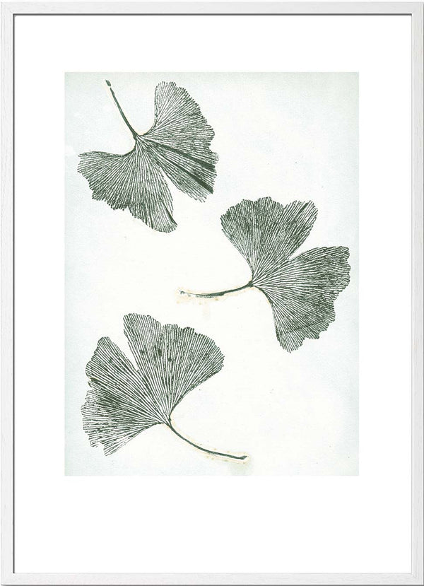 Pernille Folcarelli Gingko Green
