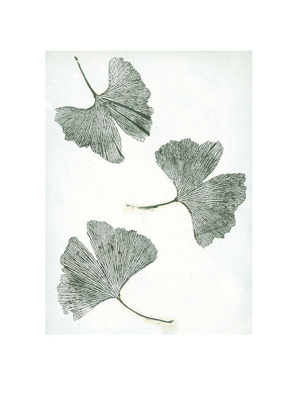 Pernille Folcarelli Gingko Green